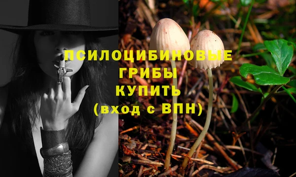 кокс Арсеньев