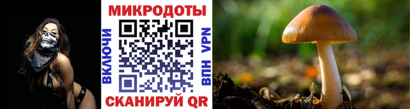 Псилоцибиновые грибы мухоморы  Спасск 